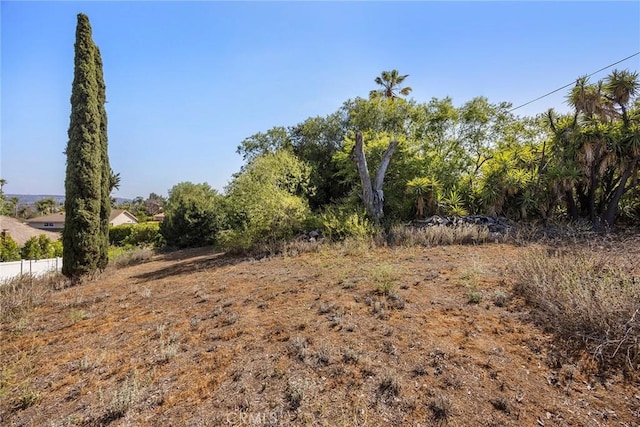 5426 Lakeview Ave, Yorba Linda, CA 92886 - view of local wilderness