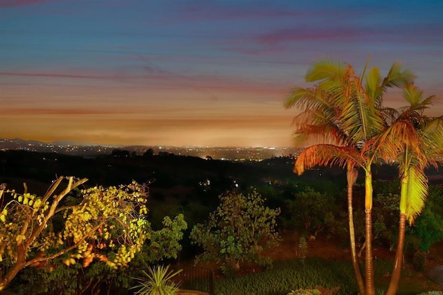1320 Sleeping Indian Rd, Oceanside, CA 92057 - water view
