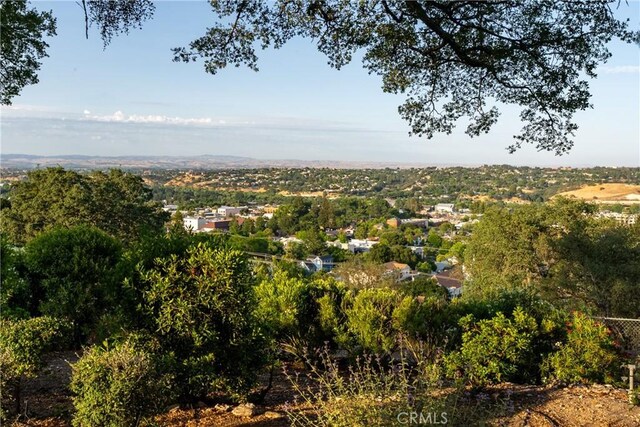 810 Cherry St, Paso Robles, CA 93446 - photo 61