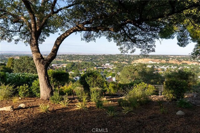 810 Cherry St, Paso Robles, CA 93446 - photo 10