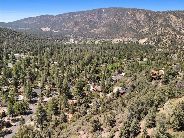 1832 Matterhorn Dr, Pine Mountain Club, CA 93222 - photo 4