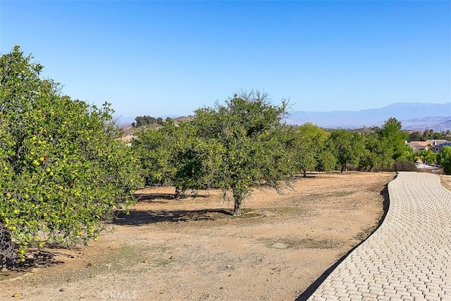 34638 The Farm Rd, Wildomar, CA 92595 - photo 45
