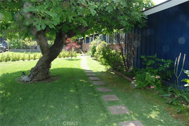 360 Campbell Ave, Redlands, CA 92373 - view of green lawn