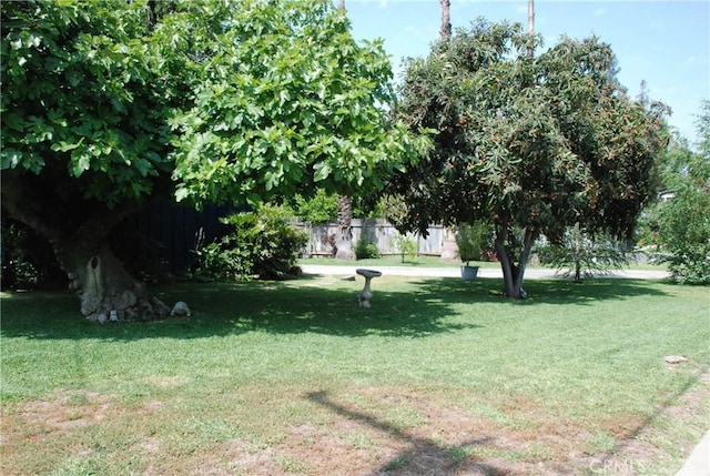 360 Campbell Ave, Redlands, CA 92373 - view of green lawn