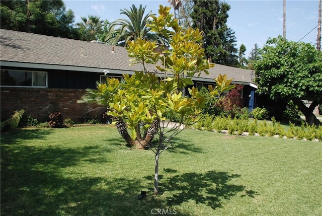 360 Campbell Ave, Redlands, CA 92373 - view of green lawn