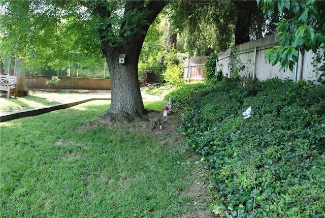 360 Campbell Ave, Redlands, CA 92373 - view of yard