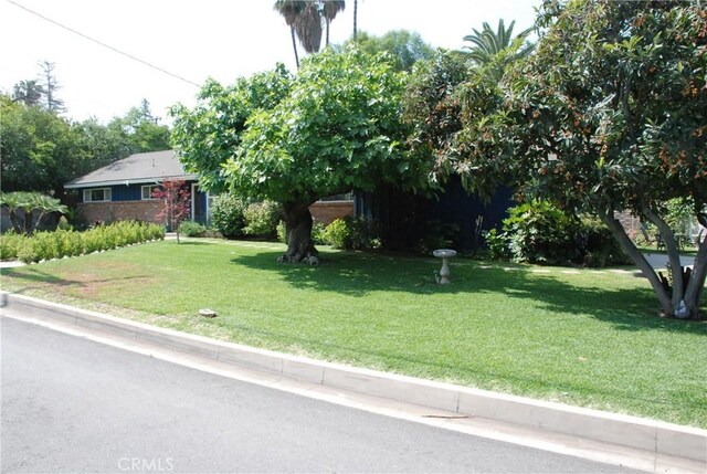 360 Campbell Ave, Redlands, CA 92373 - view of property hidden behind natural elements featuring a front yard