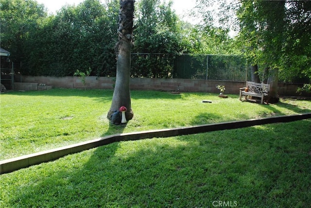 360 Campbell Ave, Redlands, CA 92373 - view of yard