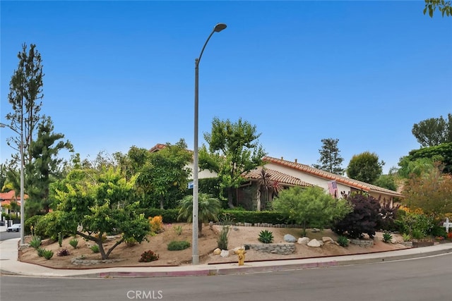 11921 Calle Vista Ct, Porter Ranch, CA 91326 - photo 44