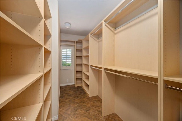 5675 W Overlook Dr, Rancho Cucamonga, CA 91739 - walk in closet featuring dark wood-style floors