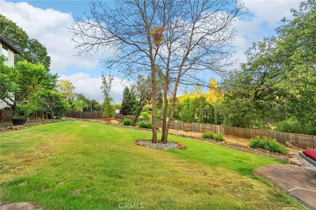 133 Valley Ridge Dr, Paradise, CA 95969 - view of fenced backyard