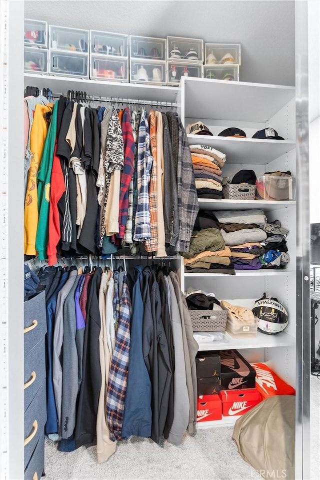 7469 Brahman Ln, Chino, CA 91708 - view of closet