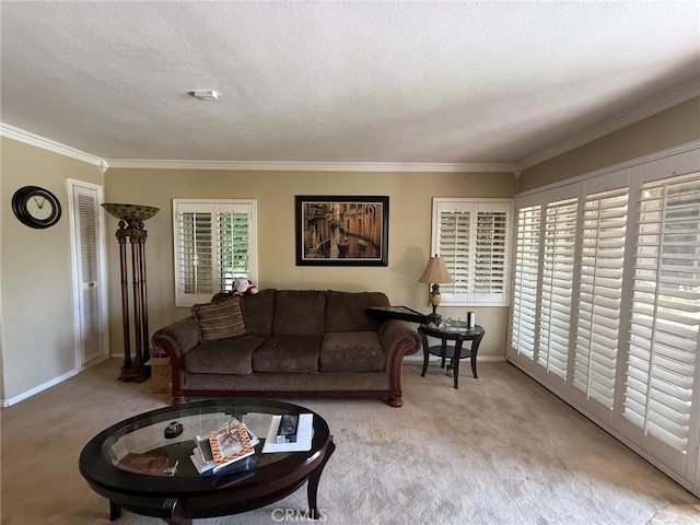 431 W M St, Colton, CA 92324 - living area featuring ornamental molding, carpet flooring, baseboards, and a textured ceiling