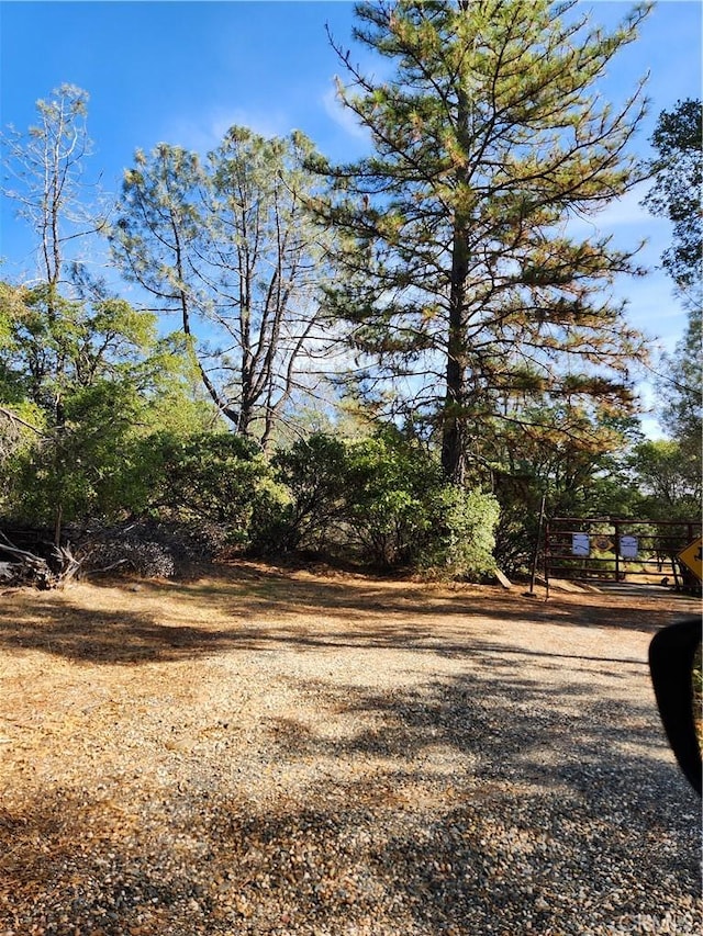 7949 Marie Ln, Rackerby, CA 95972