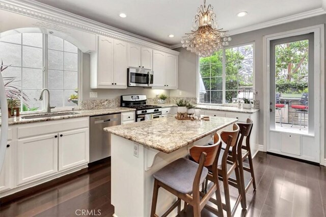 8 Marston Ln, Ladera Ranch, CA 92694 - kitchen featuring stainless steel appliances, a sink, white cabinets, dark wood finished floors, and ornamental molding