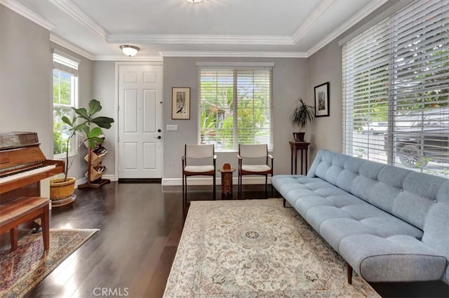 8 Marston Ln, Ladera Ranch, CA 92694 - living room with dark wood-style flooring, ornamental molding, a raised ceiling, and baseboards