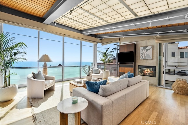 316 23rd St, Manhattan Beach, CA 90266 - living area with wood finished floors, a wall of windows, and a fireplace
