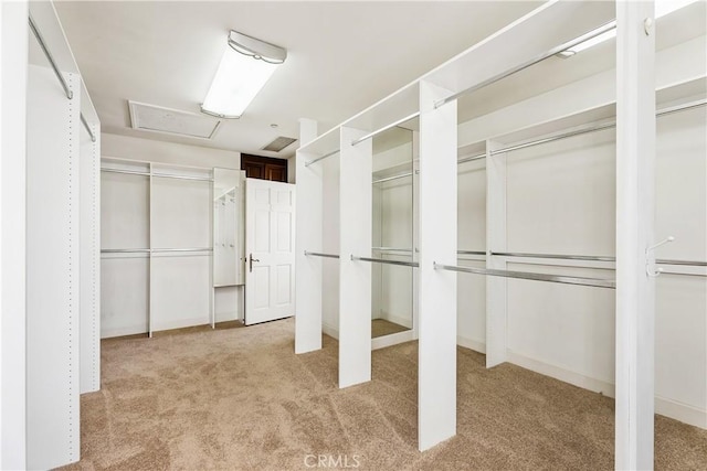401 Piazza Lido, Newport Beach, CA 92663 - walk in closet featuring carpet floors and attic access