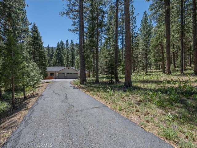 445 Boulder Dr, Clio, CA 96106 - photo 5