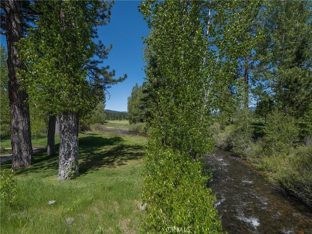 445 Boulder Dr, Clio, CA 96106 - photo 42