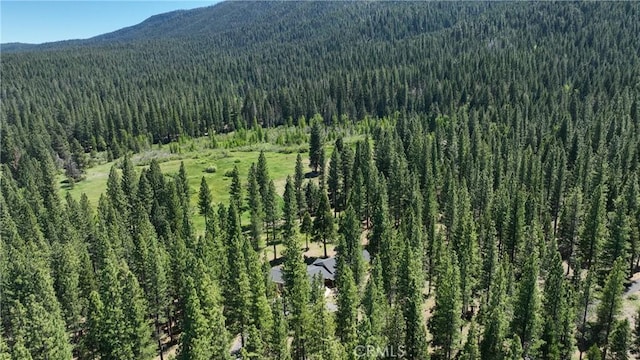 445 Boulder Dr, Clio, CA 96106 - photo 3
