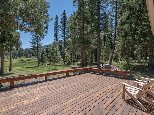 445 Boulder Dr, Clio, CA 96106 - photo 39