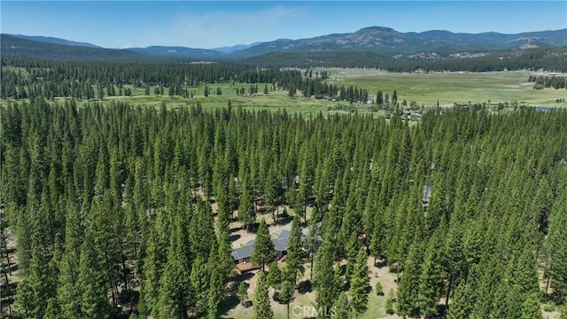 445 Boulder Dr, Clio, CA 96106 - photo 40