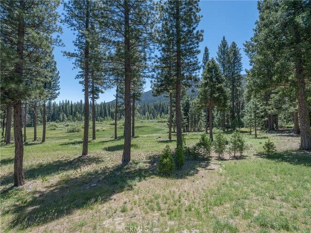 445 Boulder Dr, Clio, CA 96106 - photo 33