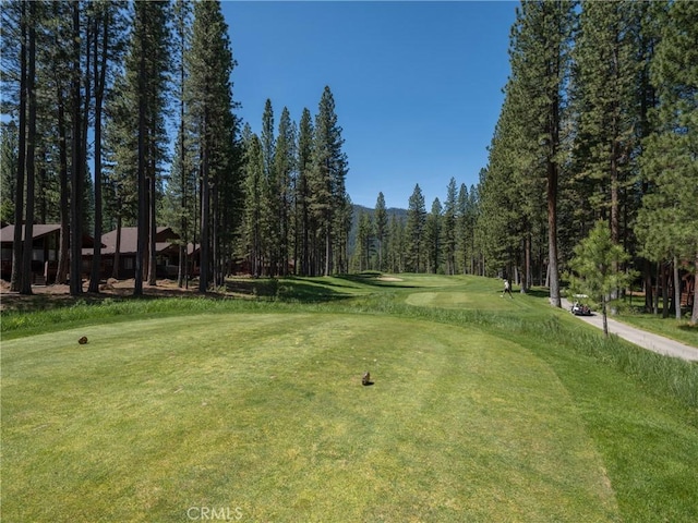 445 Boulder Dr, Clio, CA 96106 - photo 48