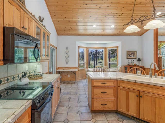 445 Boulder Dr, Clio, CA 96106 - photo 19