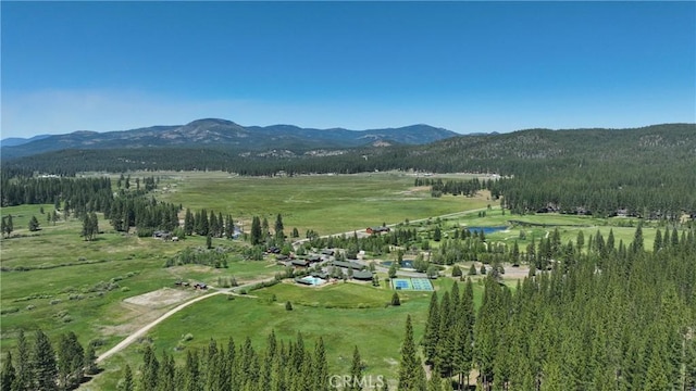 445 Boulder Dr, Clio, CA 96106 - photo 55