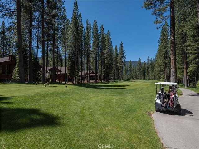 445 Boulder Dr, Clio, CA 96106 - photo 47