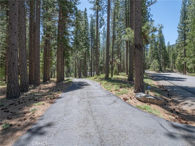 445 Boulder Dr, Clio, CA 96106 - photo 4