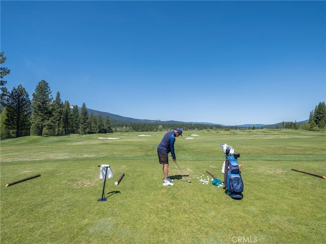 445 Boulder Dr, Clio, CA 96106 - photo 46