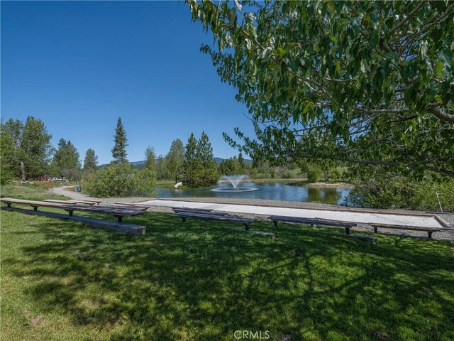 445 Boulder Dr, Clio, CA 96106 - photo 50