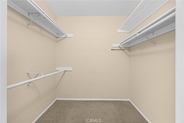 1345 Cabrillo Park Dr Unit S16, Santa Ana, CA 92701 - walk in closet with carpet