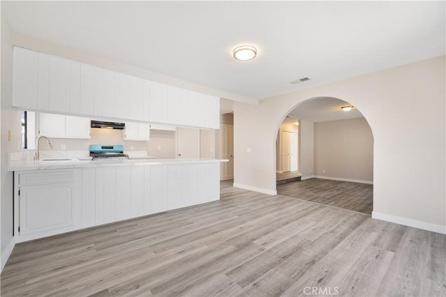 27505 Ventura Dr, Cathedral City, CA 92234 - kitchen with range, a sink, light countertops, light wood-style flooring, and under cabinet range hood