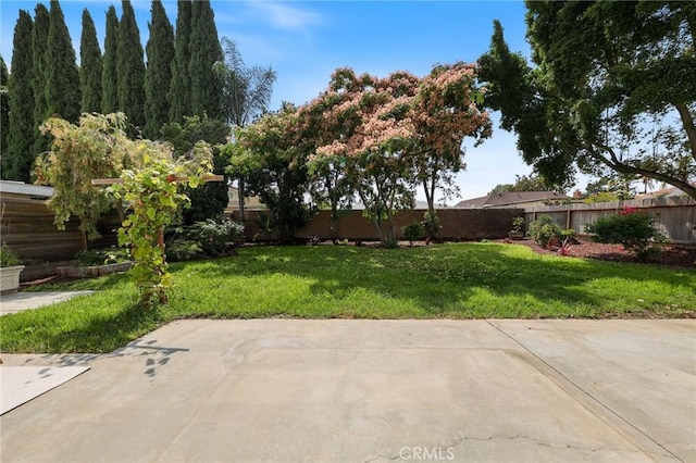 13621 Fairmont Way, Tustin, CA 92780 - view of yard featuring a patio area
