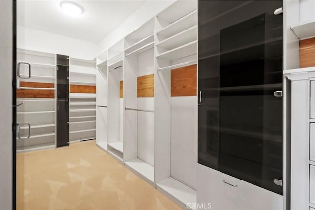 12165 Ojeda Ct, Tustin, CA 92782 - view of walk in closet