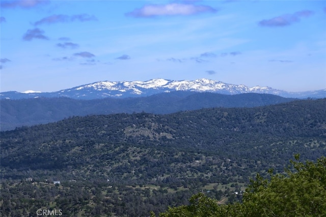 42625 Red Top Mountain Ct, Coarsegold, CA 93614 - view of mountain backdrop featuring a heavily wooded area
