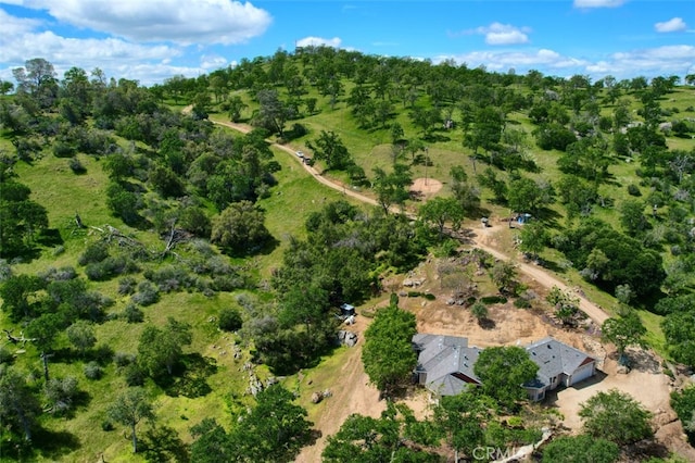 42625 Red Top Mountain Ct, Coarsegold, CA 93614 - view of property location