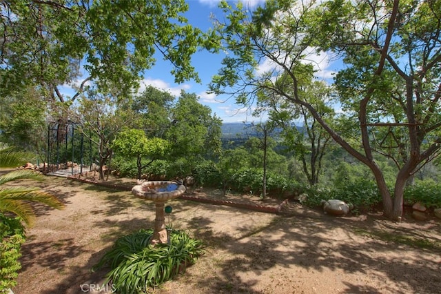 42625 Red Top Mountain Ct, Coarsegold, CA 93614 - view of yard