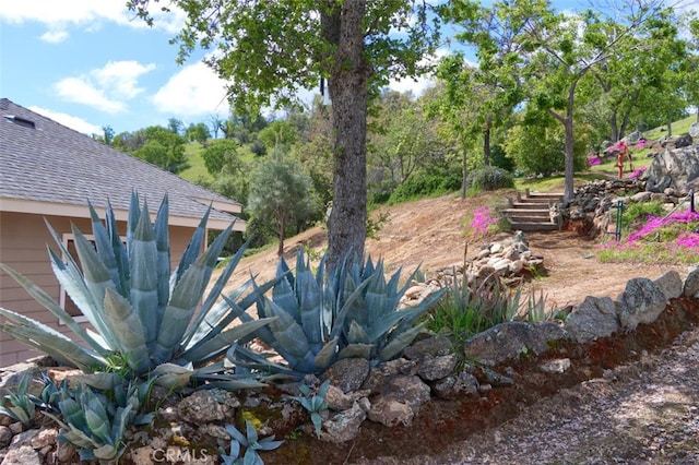 42625 Red Top Mountain Ct, Coarsegold, CA 93614 - view of yard
