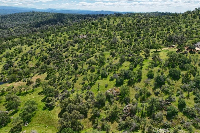 42625 Red Top Mountain Ct, Coarsegold, CA 93614 - aerial view of property's location featuring a forest and a mountain backdrop