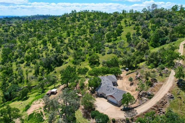 42625 Red Top Mountain Ct, Coarsegold, CA 93614 - aerial overview of property's location