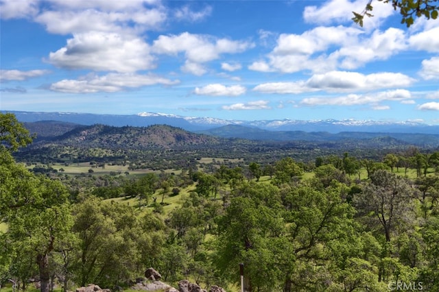 42625 Red Top Mountain Ct, Coarsegold, CA 93614 - mountain view with a heavily wooded area
