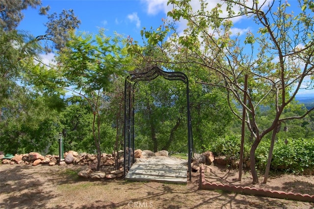 42625 Red Top Mountain Ct, Coarsegold, CA 93614 - view of yard