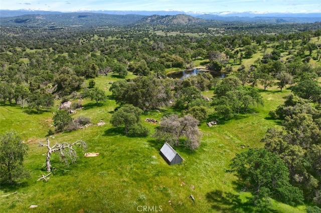 42625 Red Top Mountain Ct, Coarsegold, CA 93614 - view of property location with a forest and a water and mountain view