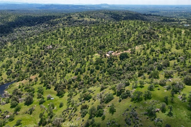 42625 Red Top Mountain Ct, Coarsegold, CA 93614 - aerial view of property and surrounding area with a heavily wooded area