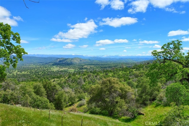 42625 Red Top Mountain Ct, Coarsegold, CA 93614 - view of mountain background with a forest